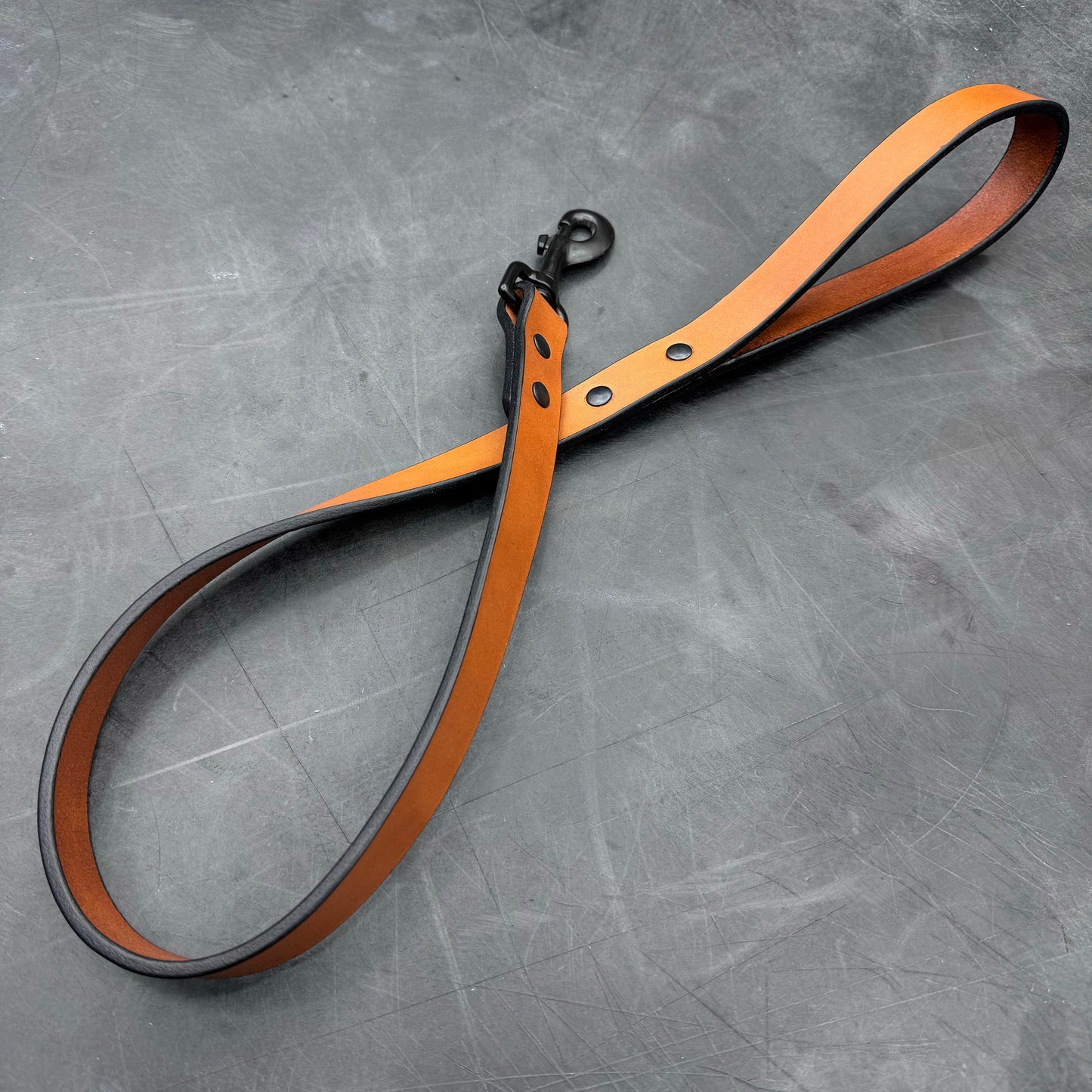 Flagship Bridle Dog Leash