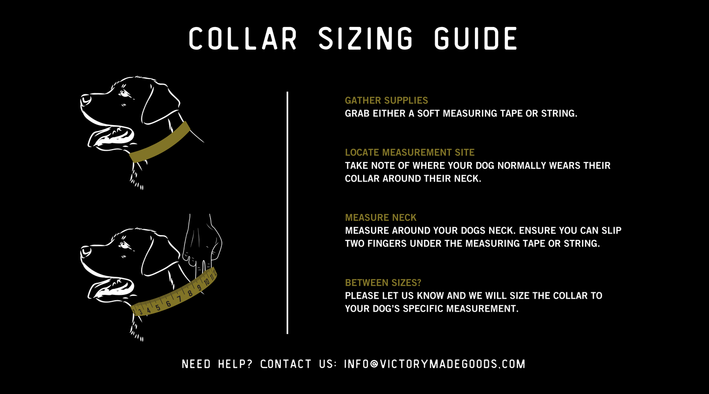 Flagship Bridle Dog Collar